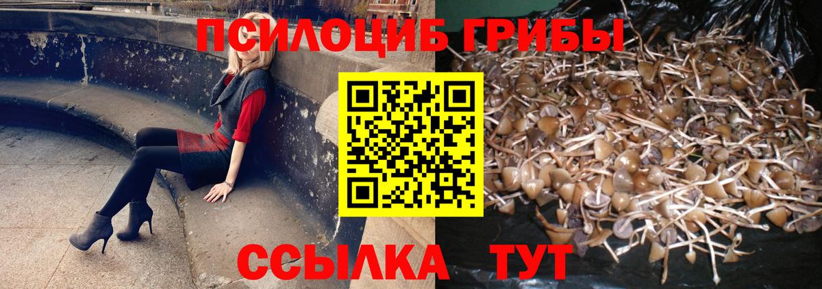 сколько стоит  Вход с VPN  Светлоград  Псилоцибиновые грибы мухоморы 